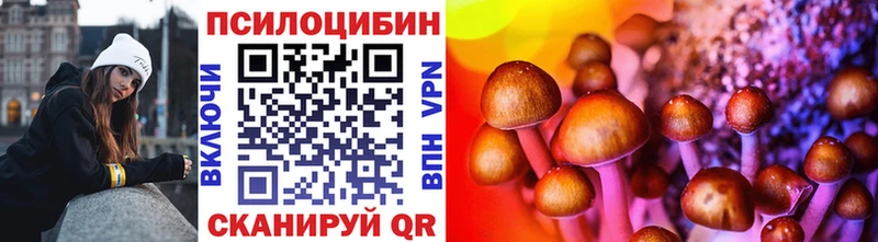 Псилоцибиновые грибы Psilocybine cubensis блэк спрут tor Судогда где найти